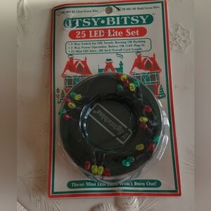 Vintage Itsy Bitsy 25 Led Lite Set Multi Color Green Wire 60" L